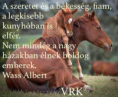 /album/fenykepgaleria/a1622145-584675471602166-1281368082-n-png/